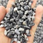白色石子 水磨石子白色 黑色 灰色 ** 水洗石子厂家